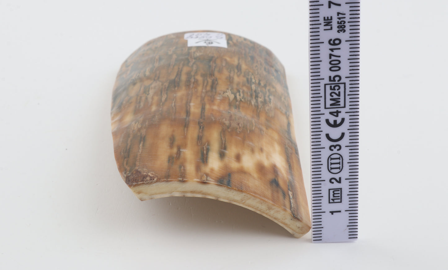 Green-beige mammoth bark