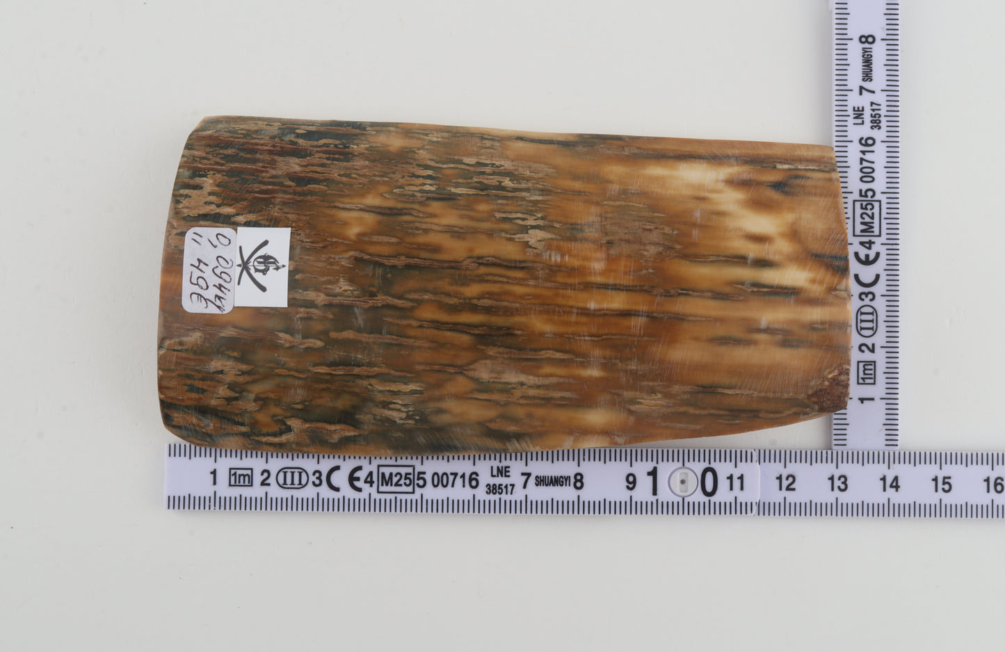 Green-beige mammoth bark