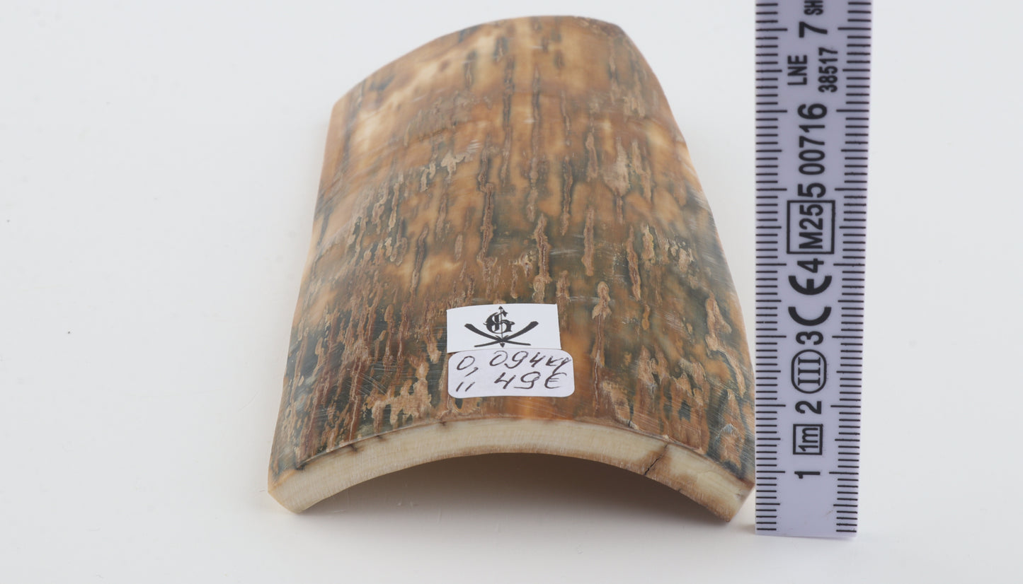 Green-beige mammoth bark