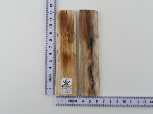 Natural mammoth bark scales