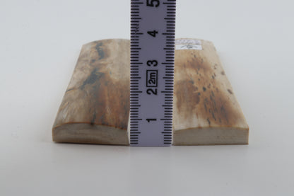 Natural mammoth bark scales