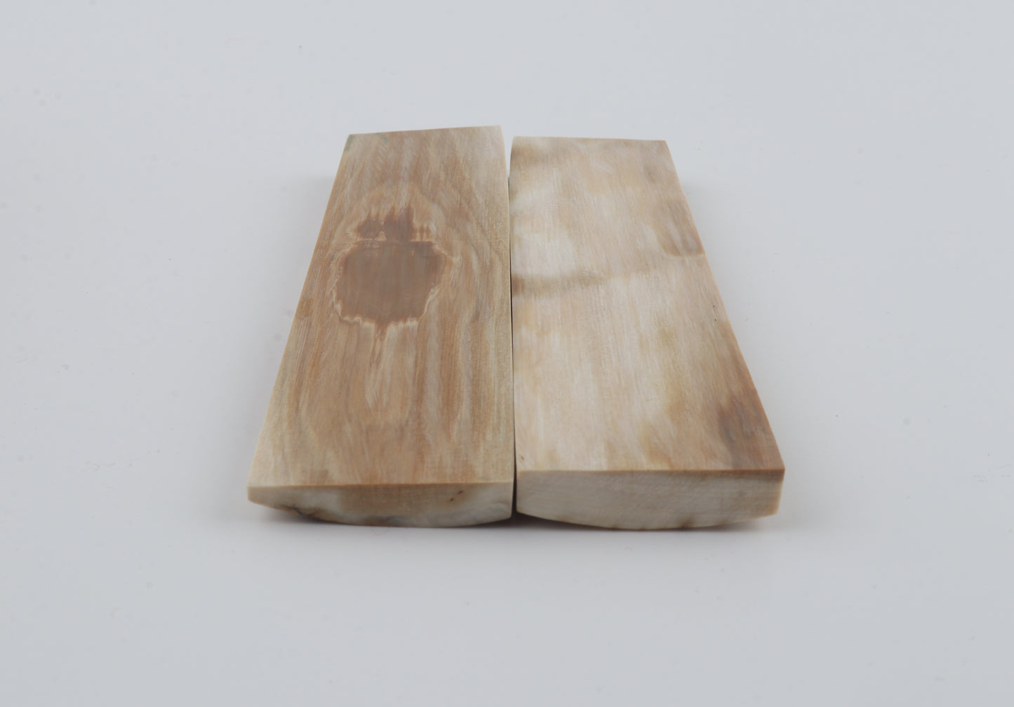 Natural mammoth bark scales