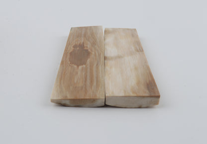 Natural mammoth bark scales