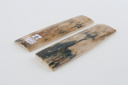 Natural mammoth bark scales
