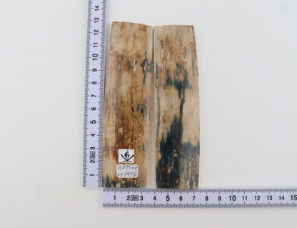 Natural mammoth bark scales
