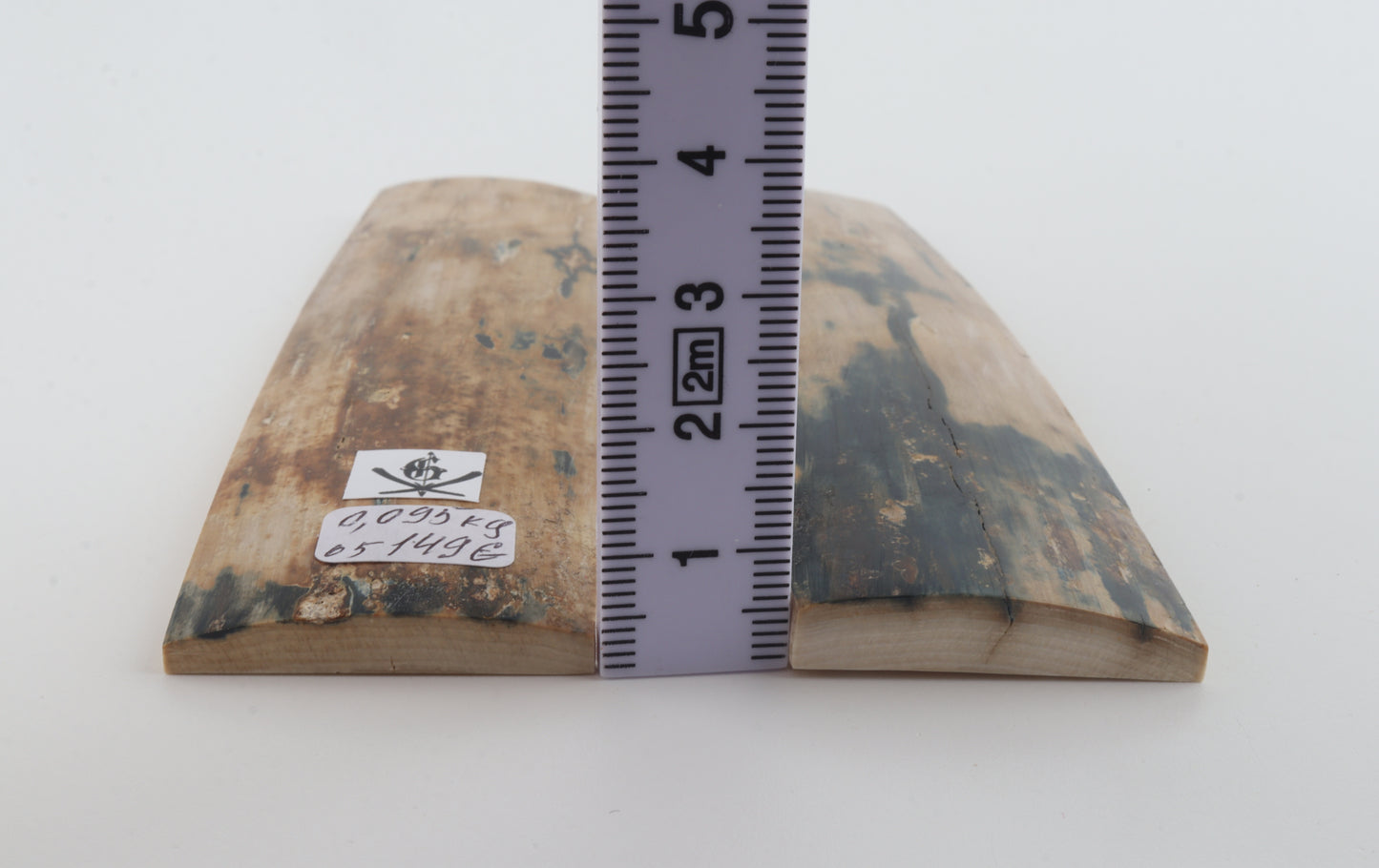Natural mammoth bark scales