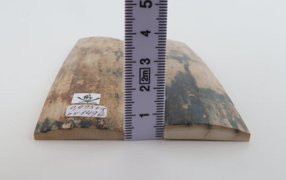 Natural mammoth bark scales