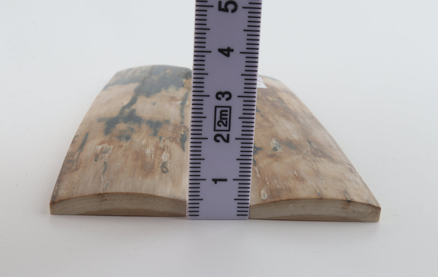 Natural mammoth bark scales