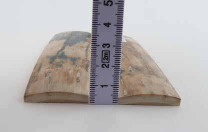 Natural mammoth bark scales
