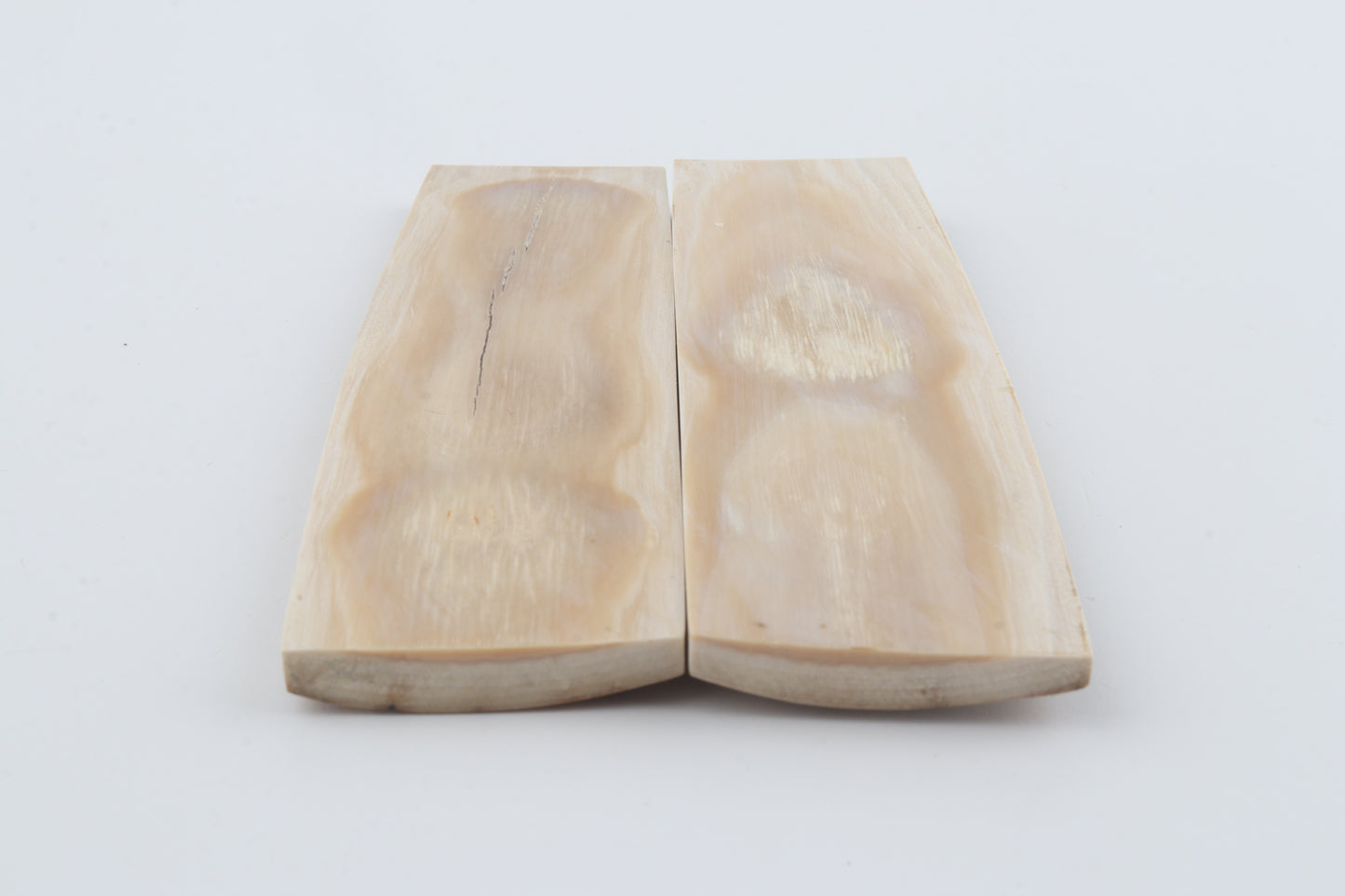 Natural mammoth bark scales