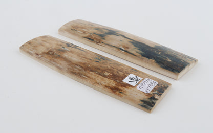 Natural mammoth bark scales