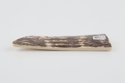 Brown-white mammoth bark