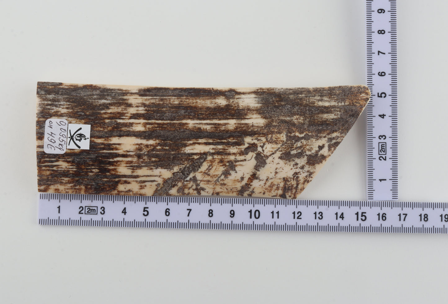 Brown-white mammoth bark