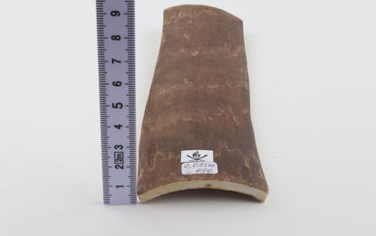Brown mammoth bark