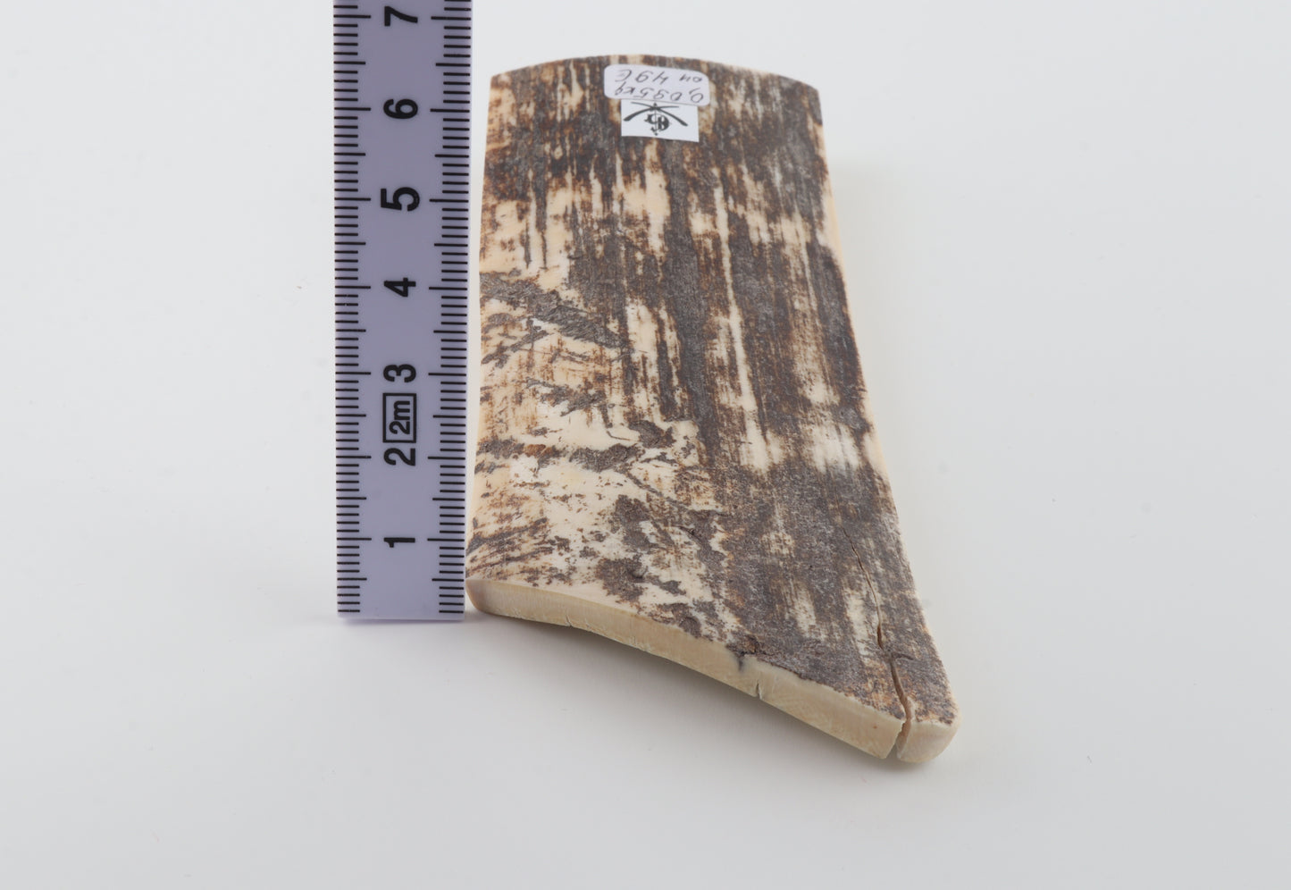 Brown-white mammoth bark