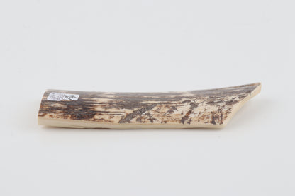 Brown-white mammoth bark