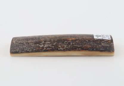 Brown-grey mammoth bark