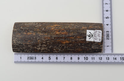 Brown-grey mammoth bark