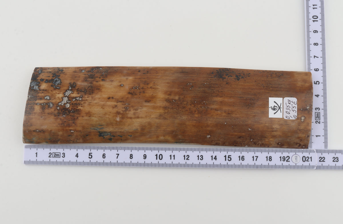 Brown mammoth bark