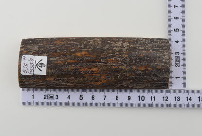 Brown-grey mammoth bark