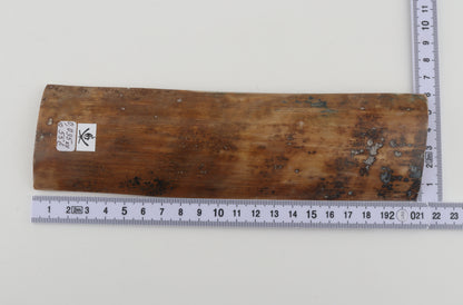 Brown mammoth bark