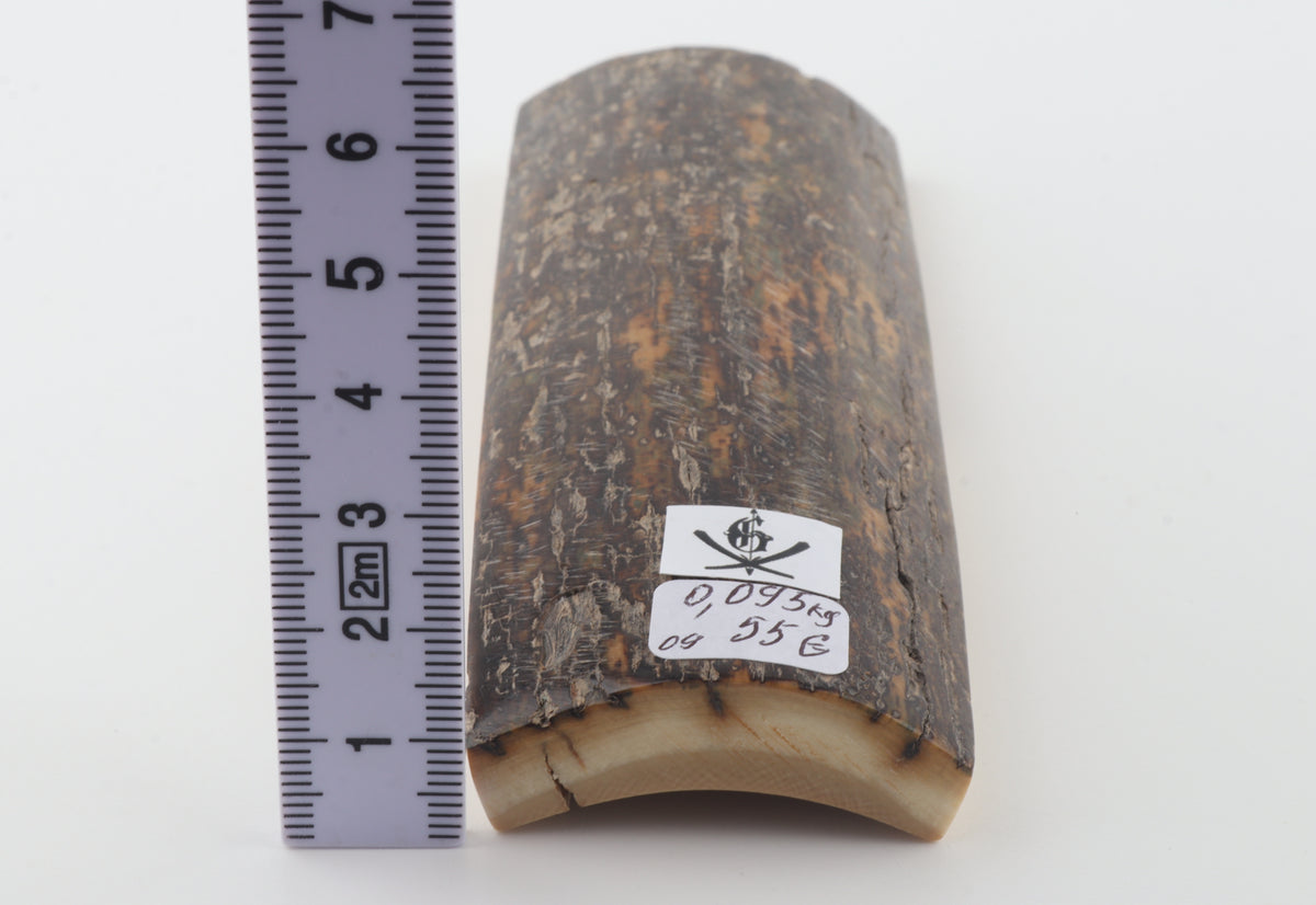 Brown-grey mammoth bark