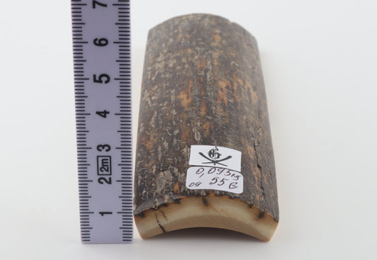 Brown-grey mammoth bark