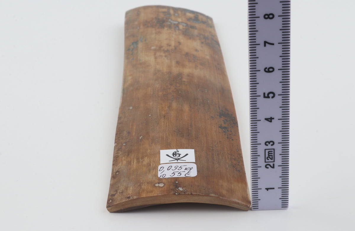 Brown mammoth bark