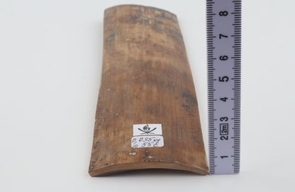 Brown mammoth bark