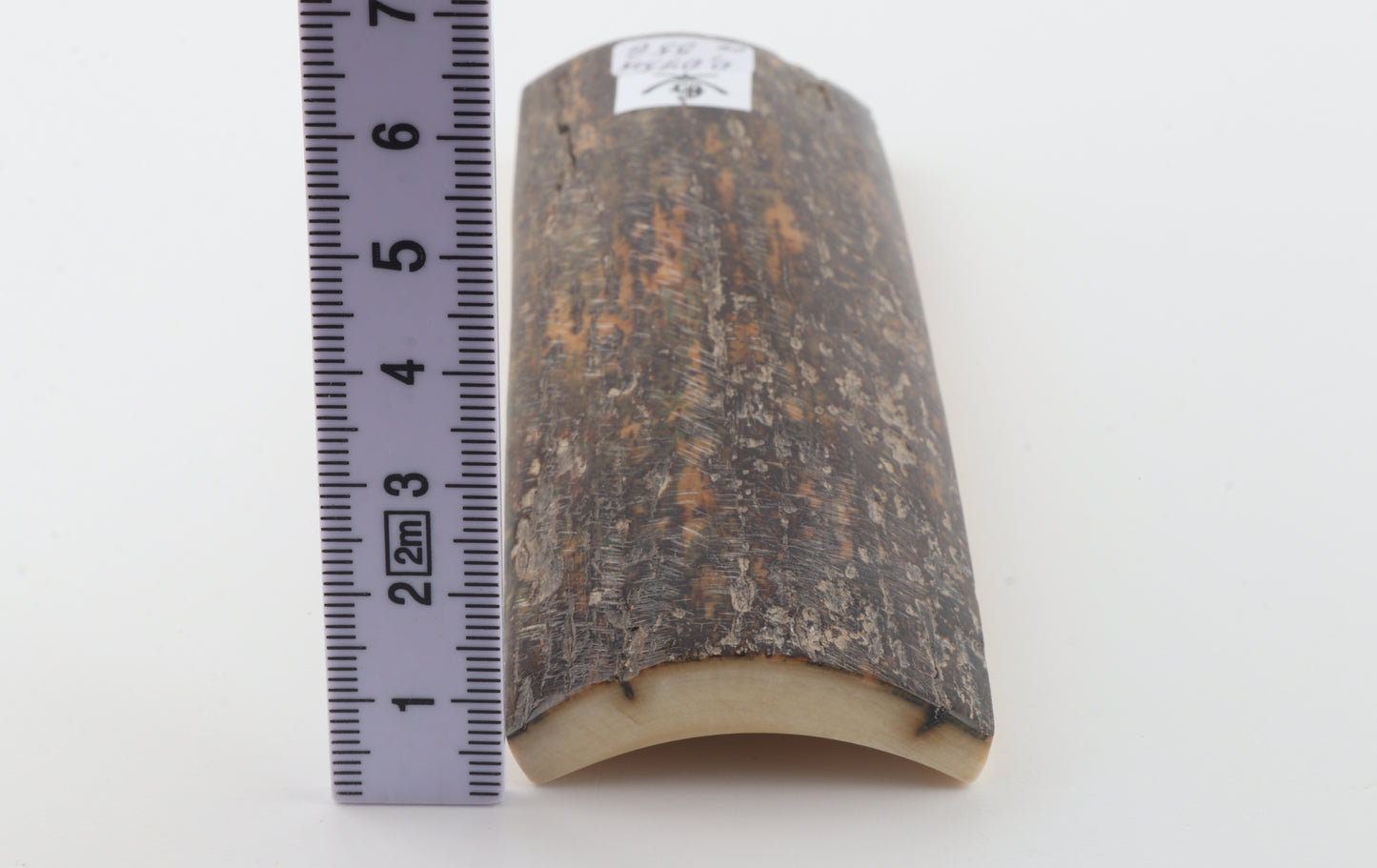 Brown-grey mammoth bark