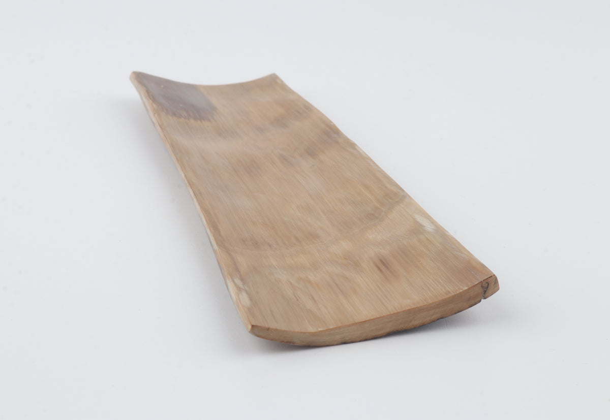 Brown mammoth bark
