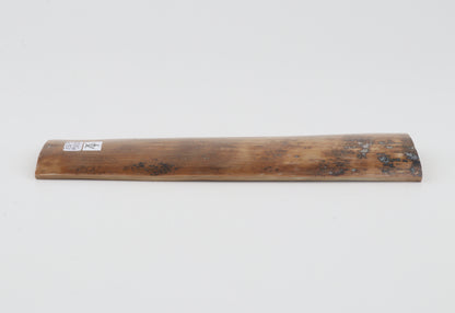 Brown mammoth bark