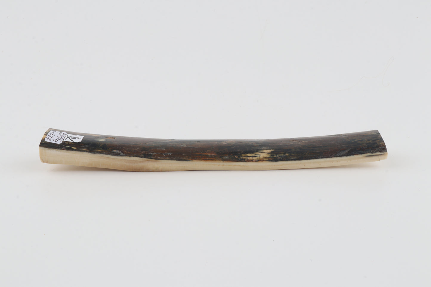 Brown-blue mammoth bark