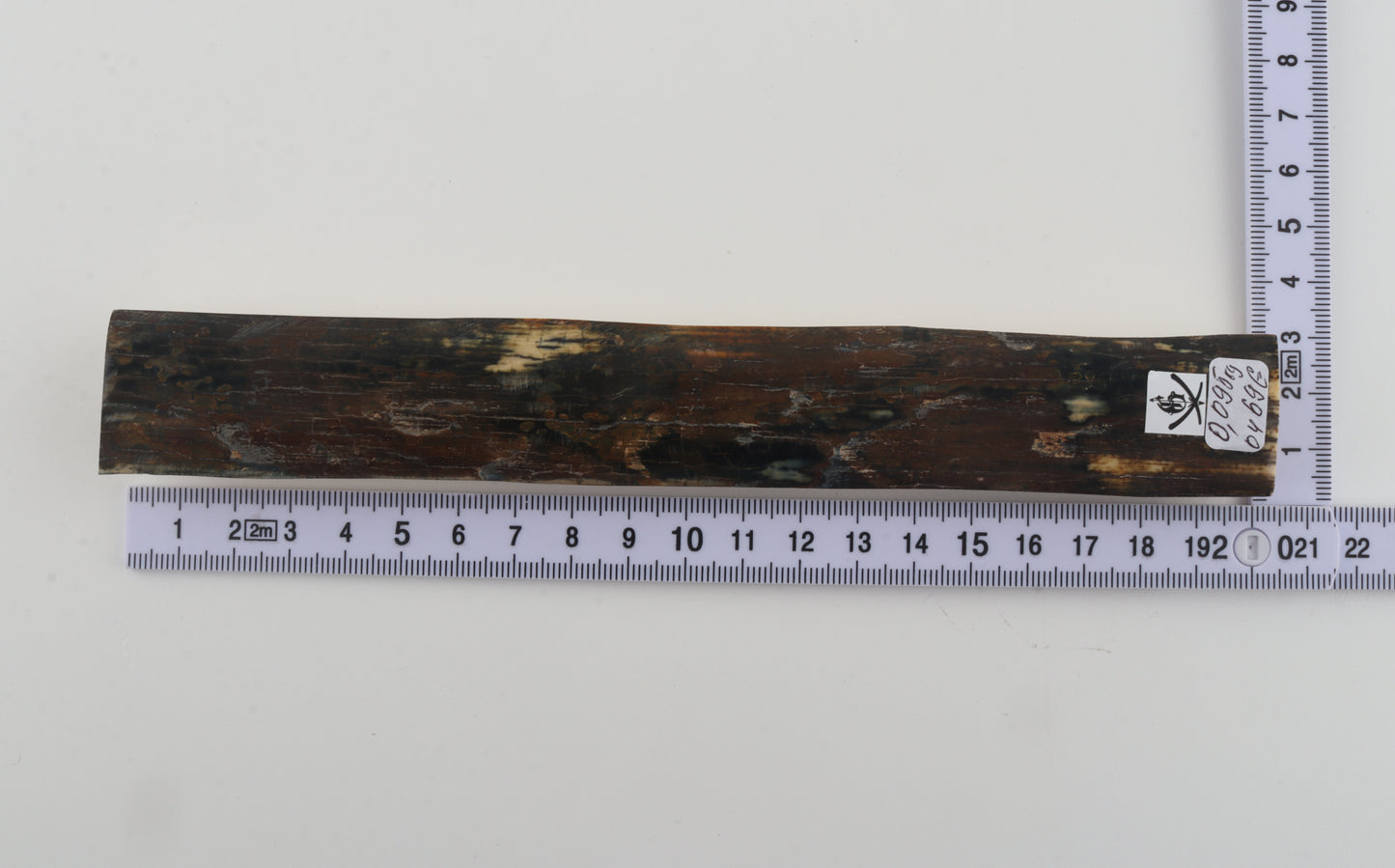 Brown-blue mammoth bark