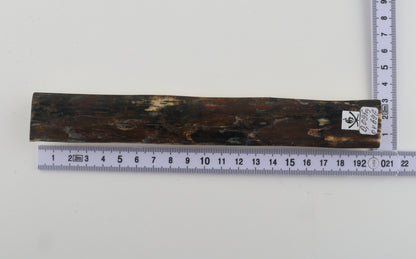 Brown-blue mammoth bark