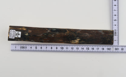 Brown-blue mammoth bark