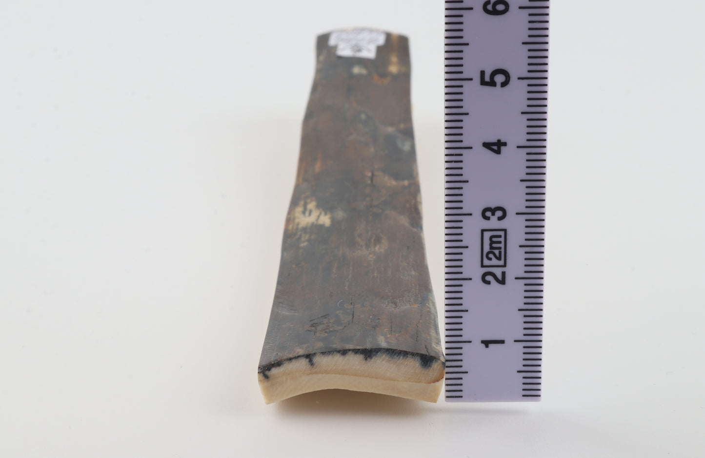 Brown-blue mammoth bark