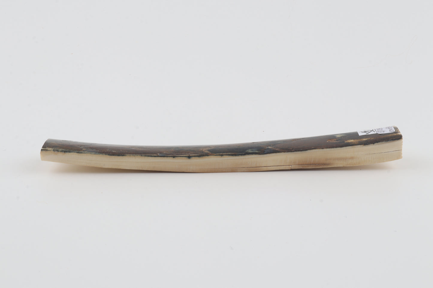 Brown-blue mammoth bark