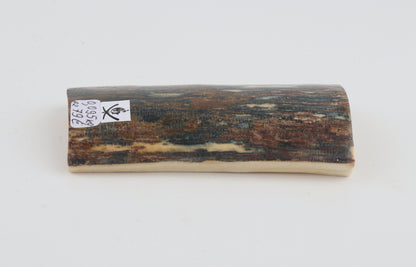Blue-brown mammoth bark