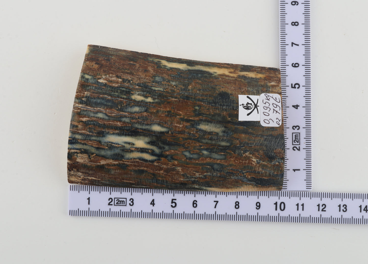 Blue-brown mammoth bark
