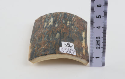 Blue-brown mammoth bark