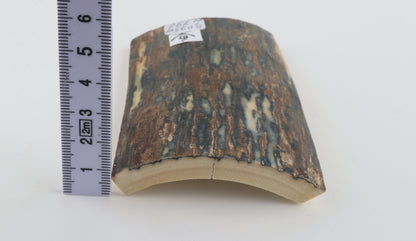 Blue-brown mammoth bark