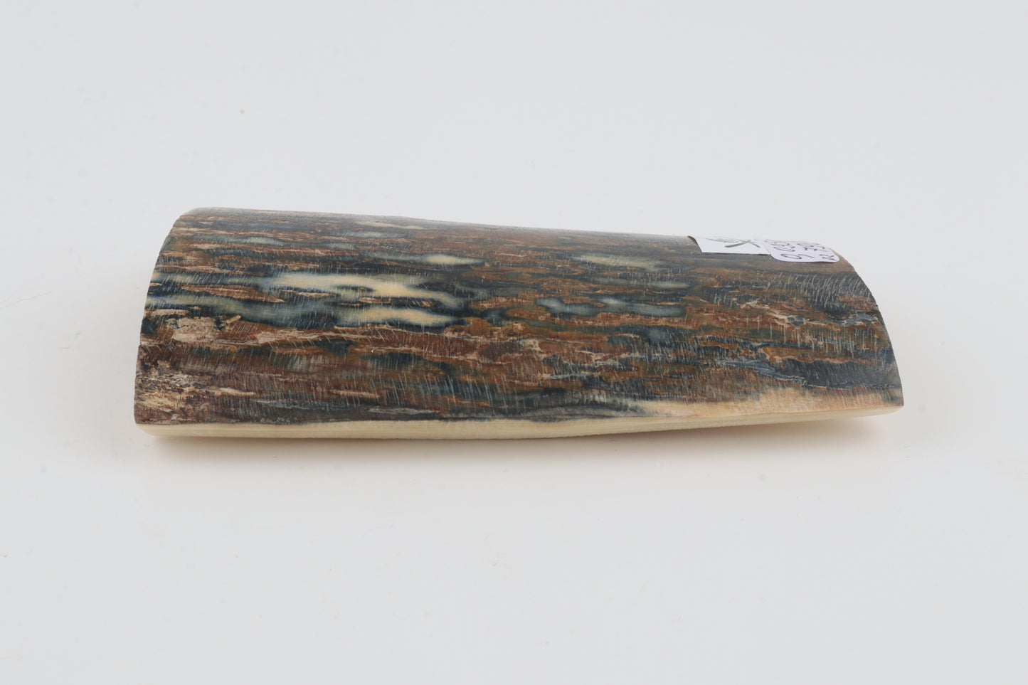 Blue-brown mammoth bark