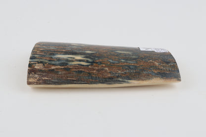 Blue-brown mammoth bark