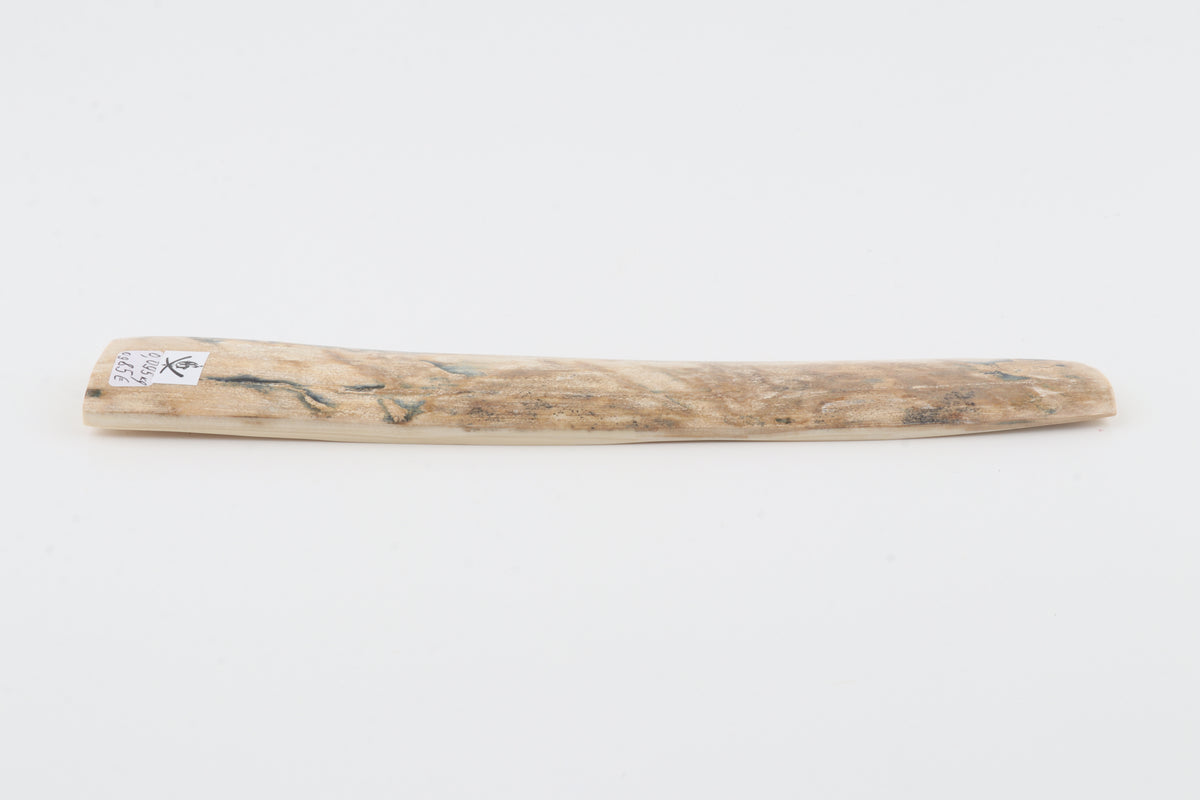 Cream-beige mammoth bark