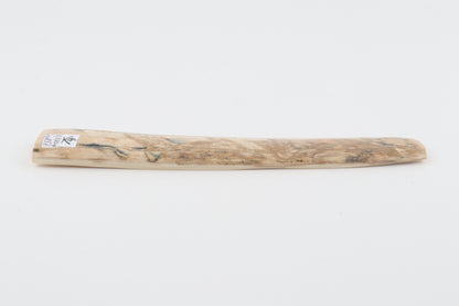 Cream-beige mammoth bark