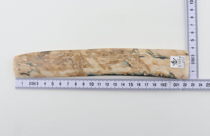 Cream-beige mammoth bark