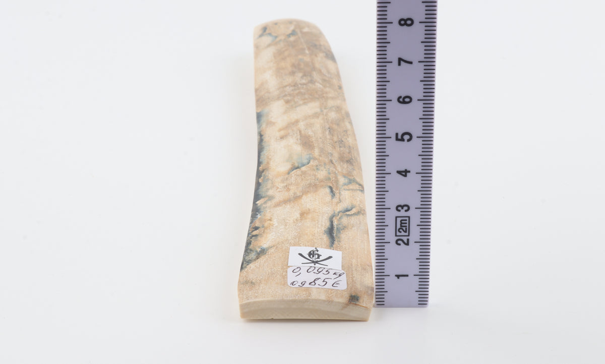 Cream-beige mammoth bark
