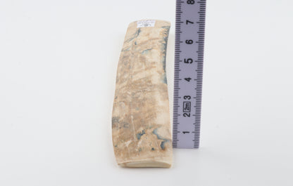 Cream-beige mammoth bark