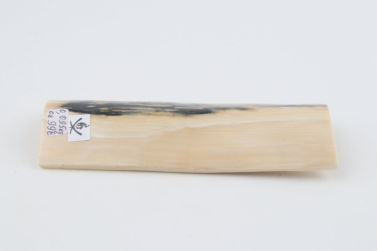 White-blue mammoth bark